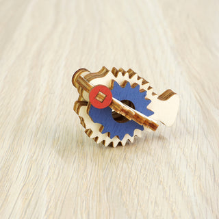 Pesce palla - 004 Animali Acqua