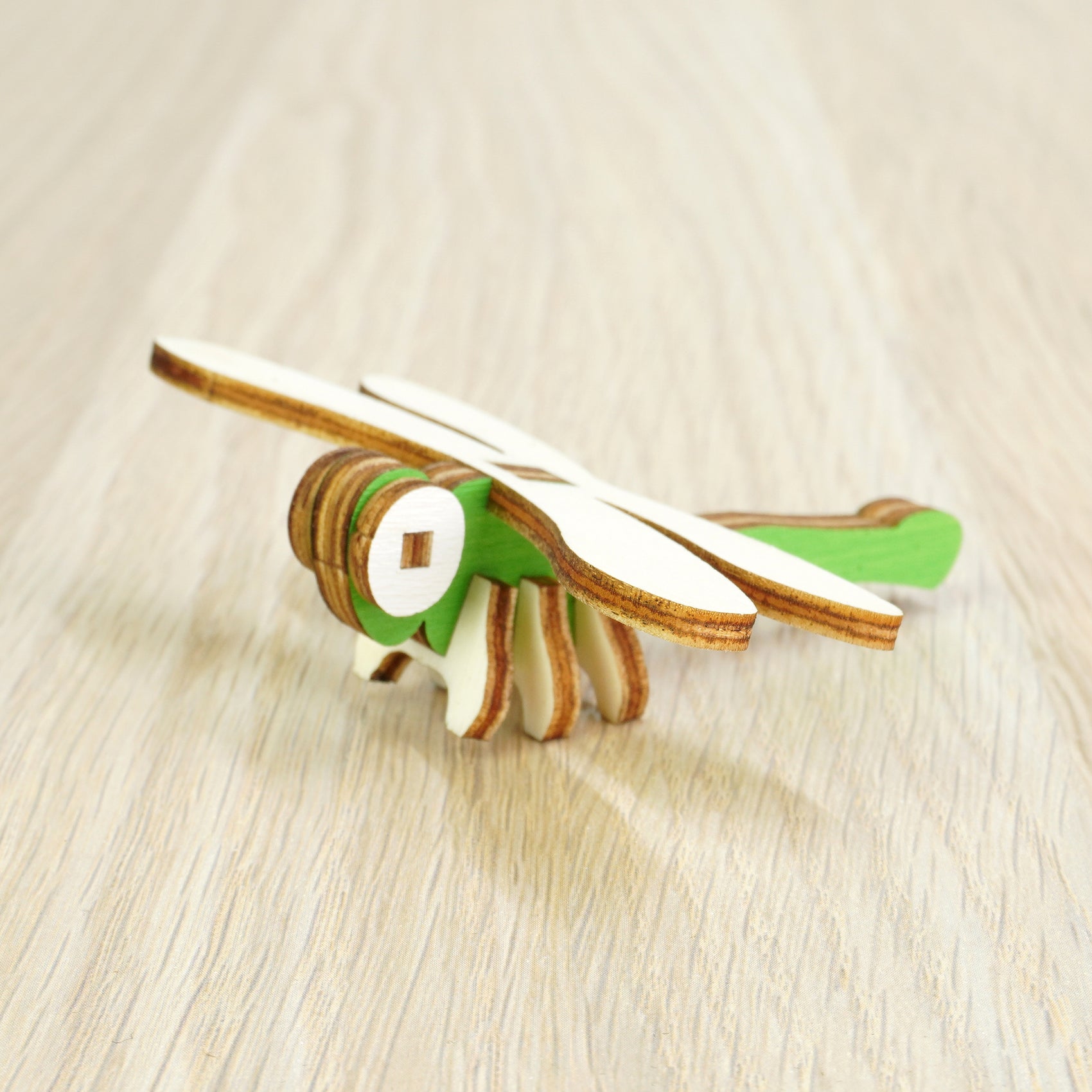 Libellula - 005 insetti