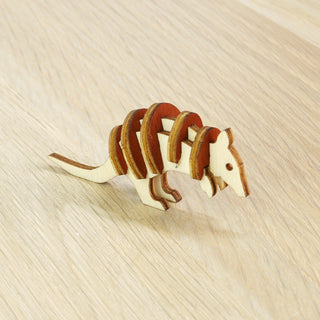 Armadillo - 002 Animali Terra